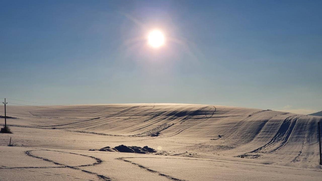 Vila Doliny Konská Eksteriør bilde